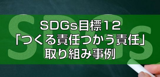 SDGs目標12「つくる責任つかう責任」システムを交えた取り組み事例見出し