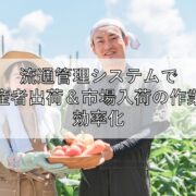 流通管理システムで生産者出荷＆市場入荷の作業を効率化見出し